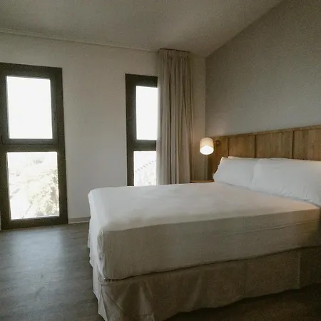Hotel Petit Palace Vargas 2*
